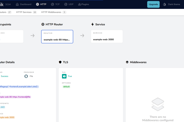 Screenshot of DDEV router and Traefik running on a `.ddev.site` subdomain in a browser window